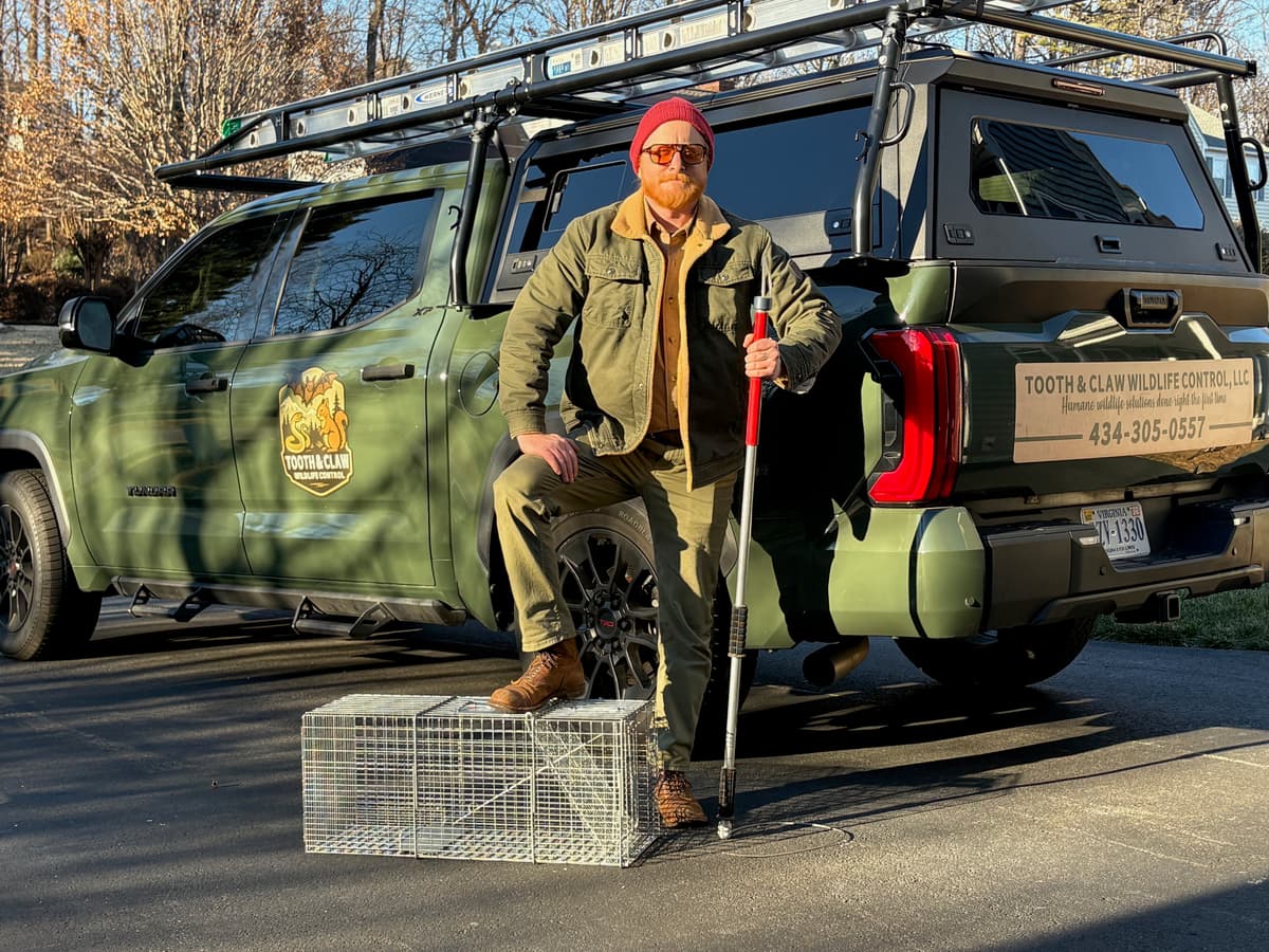 Tooth & Claw Wildlife technician inspecting a home exterior
